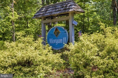 Nearly 1 acre of wooded land in the Morgan II community on the - photo 18