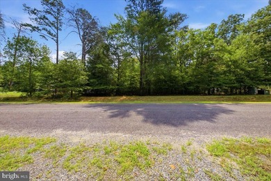 Nearly 1 acre of wooded land in the Morgan II community on the - photo 25