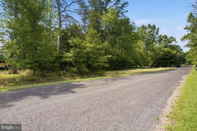Nearly 1 acre of wooded land in the Morgan II community on the - photo 27
