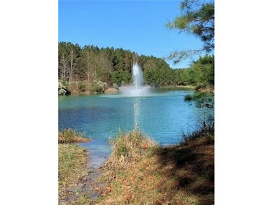 Welcome to your dream home in the beautiful waterfront community - photo 31