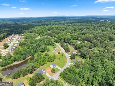 2021 Build offering a great floorplan situated on almost an acre - photo 43