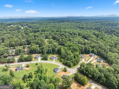2021 Build offering a great floorplan situated on almost an acre - photo 44
