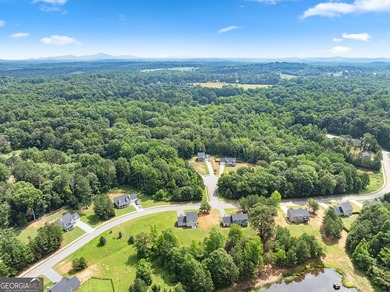 2021 Build offering a great floorplan situated on almost an acre - photo 45