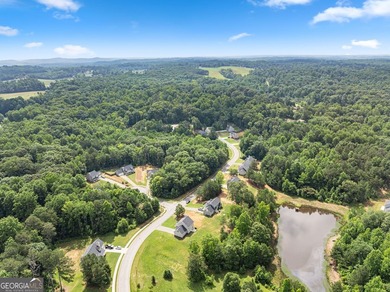 2021 Build offering a great floorplan situated on almost an acre - photo 46