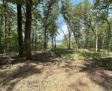 Lake Acreage For Sale in Bee Branch, Arkansas