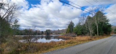 Lake Acreage For Sale in Monticello, New York