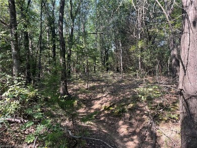 Have you been looking for a remote property with NO neighbors? - photo 12