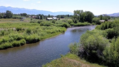 Amazing chance to own a lot on the Big Lost River. Detailed - photo 12