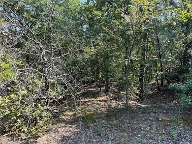 Have you been looking for a remote property with NO neighbors? - photo 13