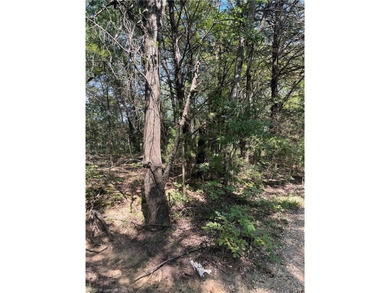 Have you been looking for a remote property with NO neighbors? - photo 14