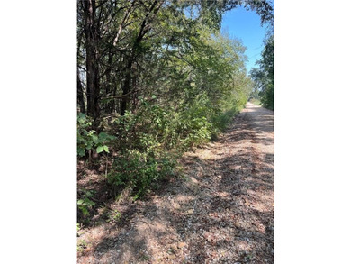 Have you been looking for a remote property with NO neighbors? - photo 15