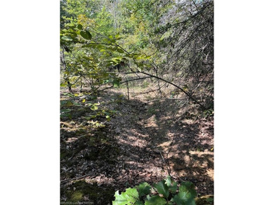 Have you been looking for a remote property with NO neighbors? - photo 17