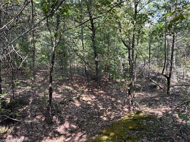 Have you been looking for a remote property with NO neighbors? - photo 19