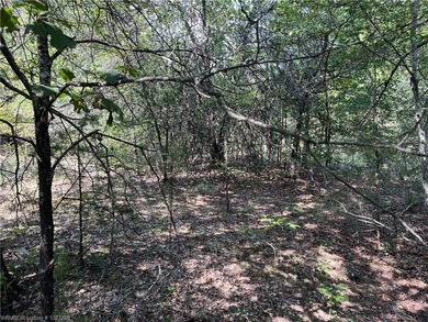 Have you been looking for a remote property with NO neighbors? - photo 20