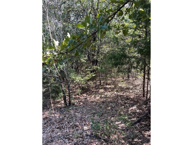 Have you been looking for a remote property with NO neighbors? - photo 27