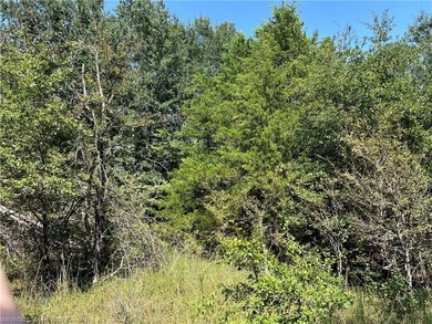 Have you been looking for a remote property with NO neighbors? - photo 29