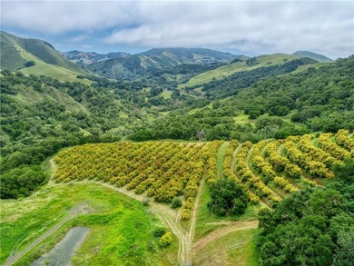 7515 Santa Rosa Creek Rd - photo 31