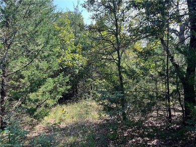 Have you been looking for a remote property with NO neighbors? - photo 32