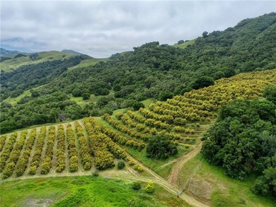7515 Santa Rosa Creek Rd - photo 32