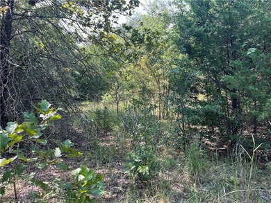 Have you been looking for a remote property with NO neighbors? - photo 33
