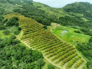 7515 Santa Rosa Creek Rd - photo 35
