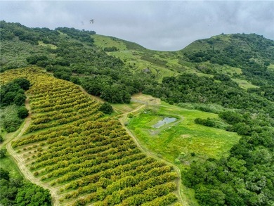 7515 Santa Rosa Creek Rd - photo 36