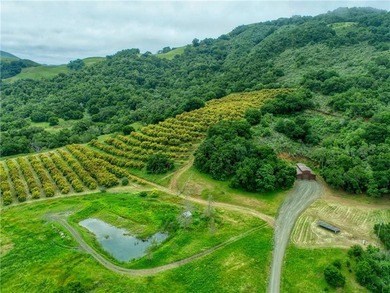 7515 Santa Rosa Creek Rd - photo 37