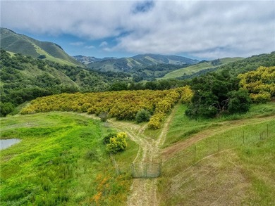 7515 Santa Rosa Creek Rd - photo 38