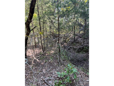 Have you been looking for a remote property with NO neighbors? - photo 40