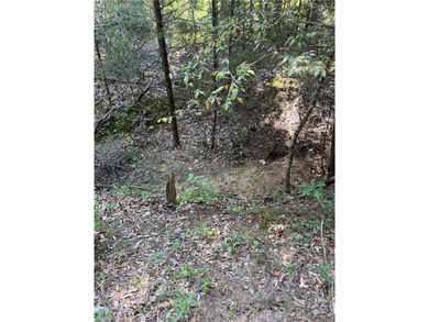 Have you been looking for a remote property with NO neighbors? - photo 41