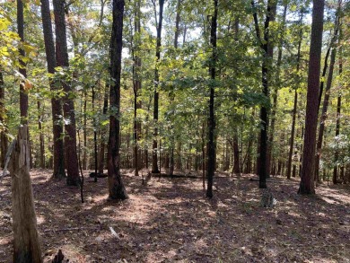 Lake Ouachita Acreage For Sale in Mount Ida Arkansas