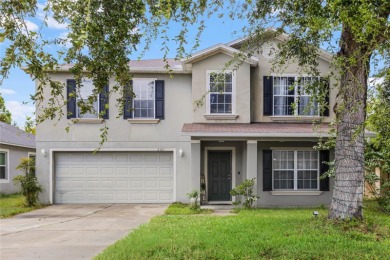 Lake Home For Sale in Tavares, Florida