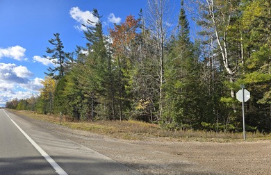 Mullett Lake Lot For Sale in Cheboygan Michigan