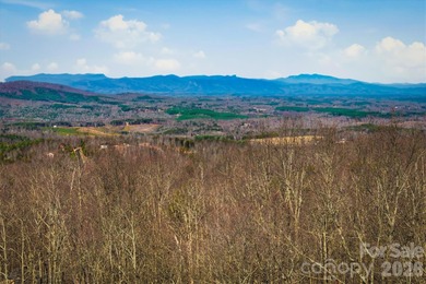 (private lake, pond, coastal) Acreage For Sale in Nebo North Carolina