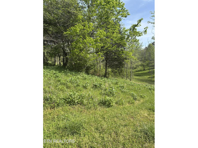 Additional listing photo 4