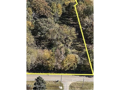 (private lake, pond, coastal) Lot For Sale in Hernando Mississippi