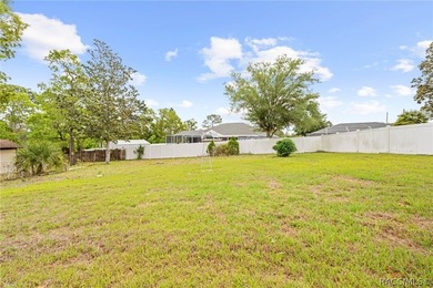Discover your slice of Florida living at 13378 Drayton Dr - photo 42