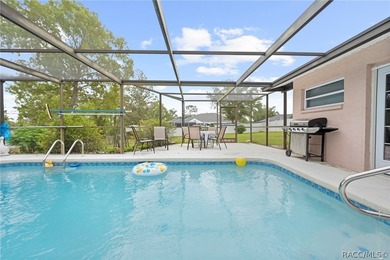 Discover your slice of Florida living at 13378 Drayton Dr - photo 49