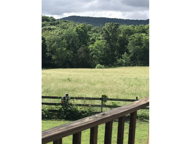 Want a place in the country? Look no further. This homestead - photo 40