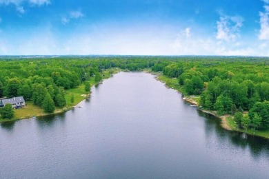 Fawn Lake - Mecosta County Lot For Sale in Canadian Lakes Michigan