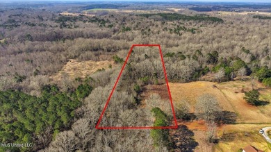 (private lake, pond, coastal) Acreage For Sale in Pelahatchie Mississippi
