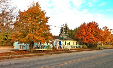 Lake Huron - Chippewa County Commercial For Sale in De Tour Village Michigan