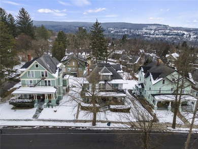 This property rests the heart of Ithaca's vibrant Collegetown - photo 43