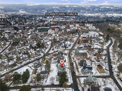 This property rests the heart of Ithaca's vibrant Collegetown - photo 46