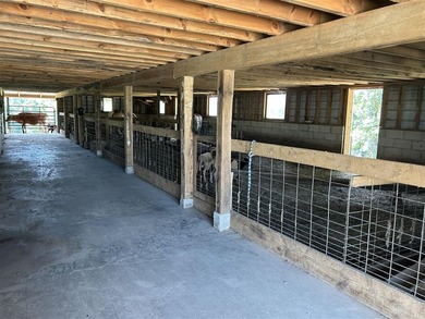 Want a place in the country? Look no further. This homestead - photo 49