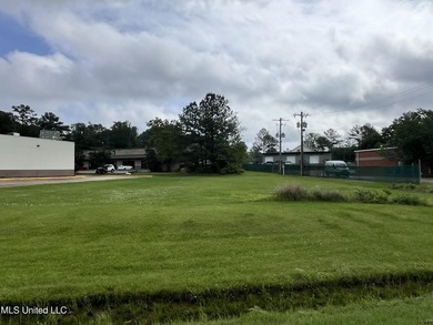 Prime Commercial Opportunity! This ideally located property is - photo 1