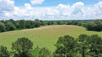 For the first time in decades, this remarkable 231 acre East - photo 11