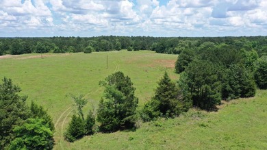 For the first time in decades, this remarkable 231 acre East - photo 12
