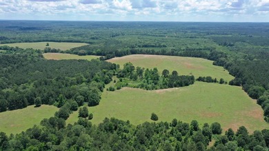 For the first time in decades, this remarkable 231 acre East - photo 13