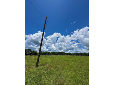 For the first time in decades, this remarkable 231 acre East - photo 14